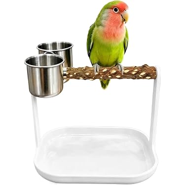 Amazon.co.jp 最新リリース: 鳥用止まり木 の新着ランキングです。